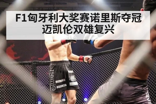 F1匈牙利大奖赛诺里斯夺冠 迈凯伦双雄复兴
