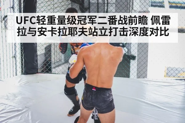 UFC轻重量级冠军二番战前瞻 佩雷拉与安卡拉耶夫站立打击深度对比